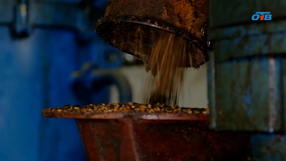 Китай планирует закупать южноуральское рапсовое масло