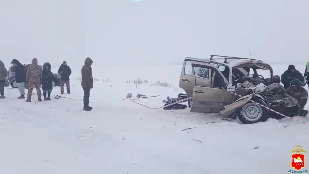 В Челябинской области в жестком ДТП с грузовиком погибли три человека