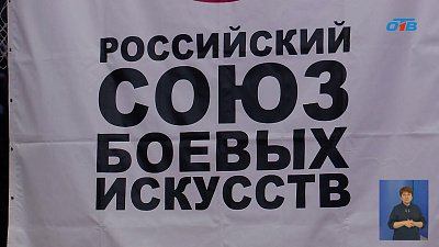 «Челмет» обыграл «Динамо» из Санкт-Петербурга в матче ВХЛ