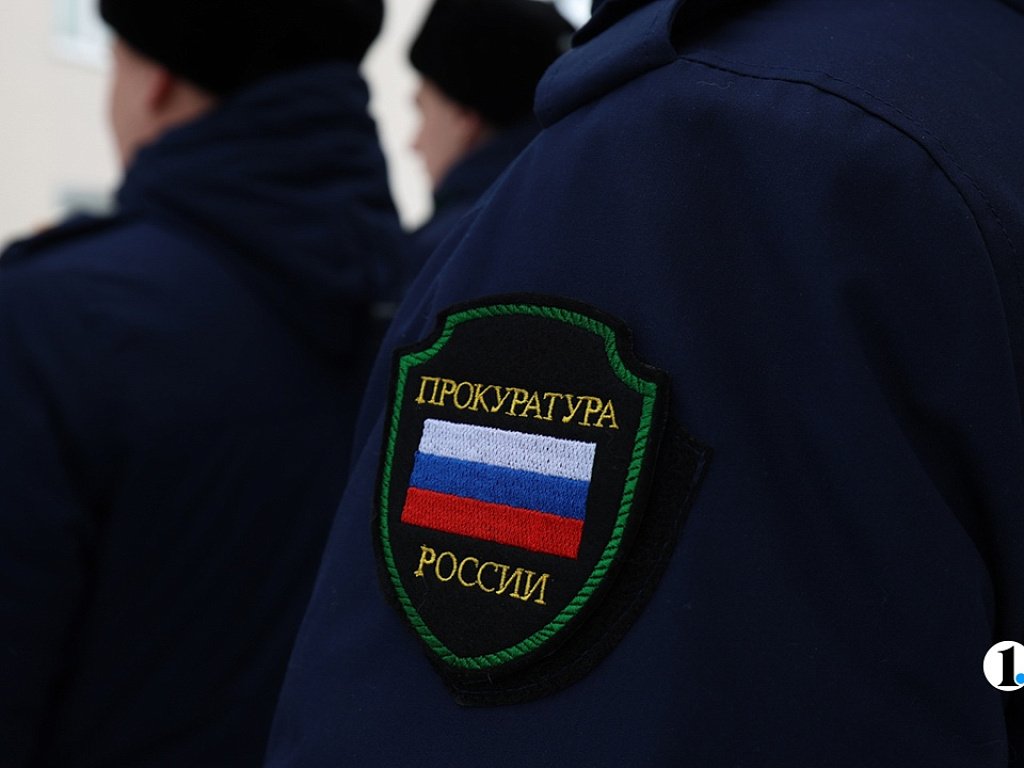 В Челябинске директору колледжа грозит штраф за тараканов в общежитии