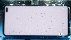 Женщина-ученый из Челябинска создает лекарство от тревоги