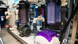 Женщина-ученый из Челябинска создает лекарство от тревоги