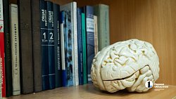 Женщина-ученый из Челябинска создает лекарство от тревоги