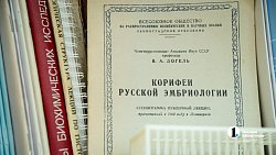 Женщина-ученый из Челябинска создает лекарство от тревоги