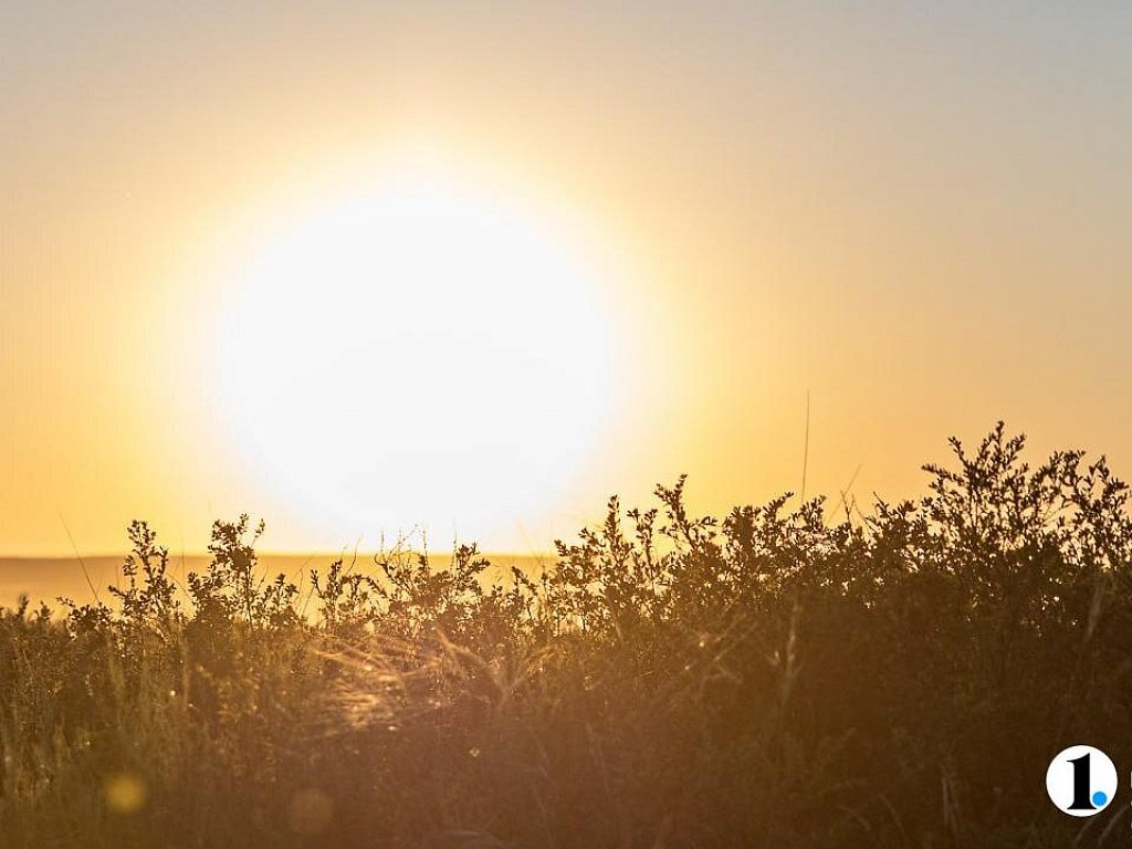 Жаркое лето‑2026 сулят Челябинской области народные приметы