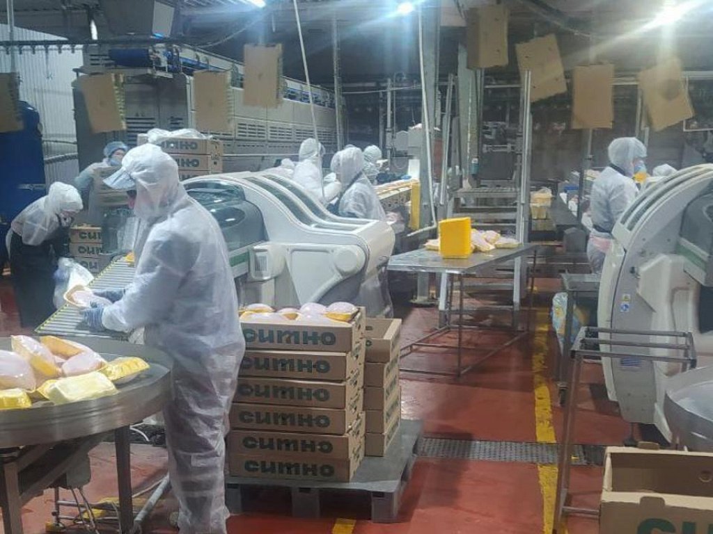 Южноуральский птицеводческий комплекс отправил в Магадан продукцию с кишечной палочкой