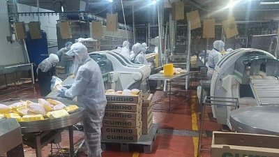 Южноуральский птицеводческий комплекс отправил в Магадан продукцию с кишечной палочкой