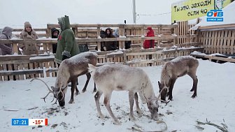 Путешествие по фермам нашего региона в сюжете «Мой бизнес: Агротуризм по Челябинской области»