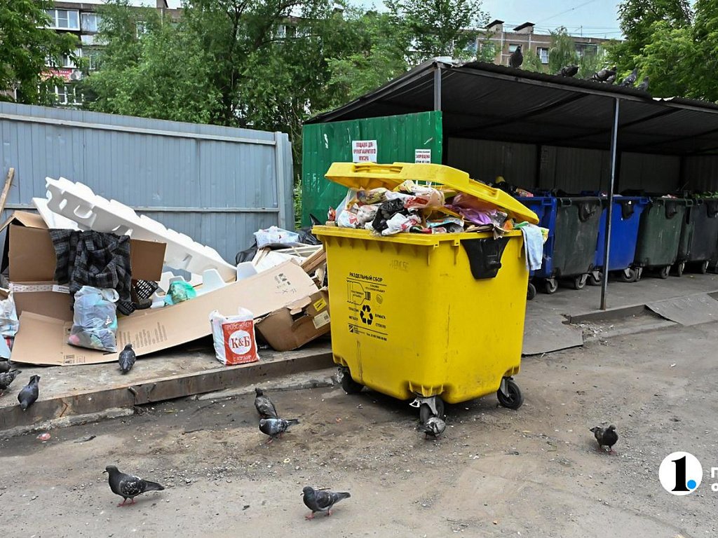 Челябинцам рассказали, как сэкономить при оплате услуг по вывозу мусора