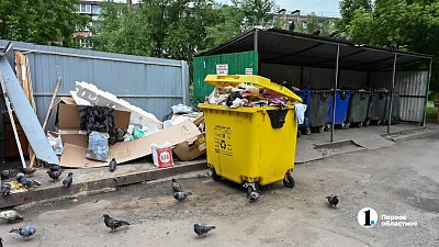 Челябинцам рассказали, как сэкономить при оплате услуг по вывозу мусора