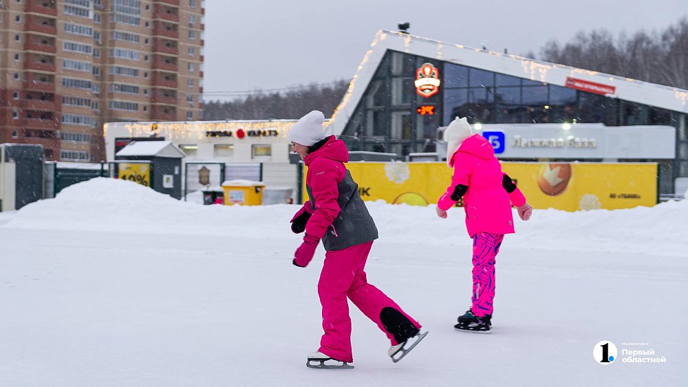 В середине февраля в Челябинскую область придет оттепель