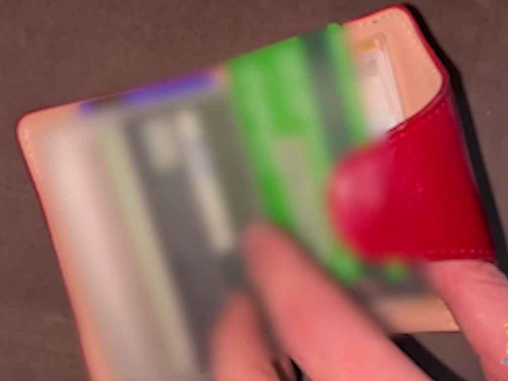 В Челябинской области накрыли ОПГ брачных аферисток, похищавших выплаты у участников СВО