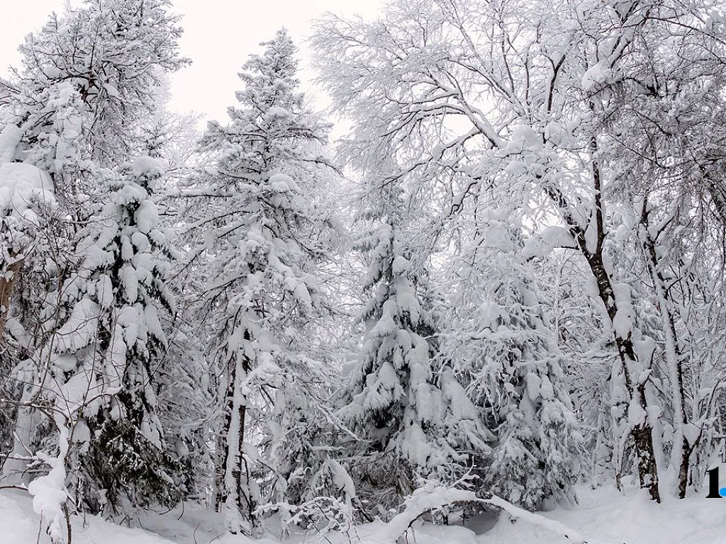 Пропавший на Таганае 15‑летний лыжник вышел на связь и дождался спасателей