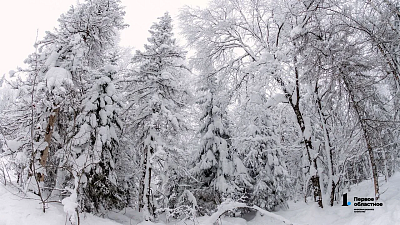 Пропавший на Таганае 15‑летний лыжник вышел на связь и дождался спасателей