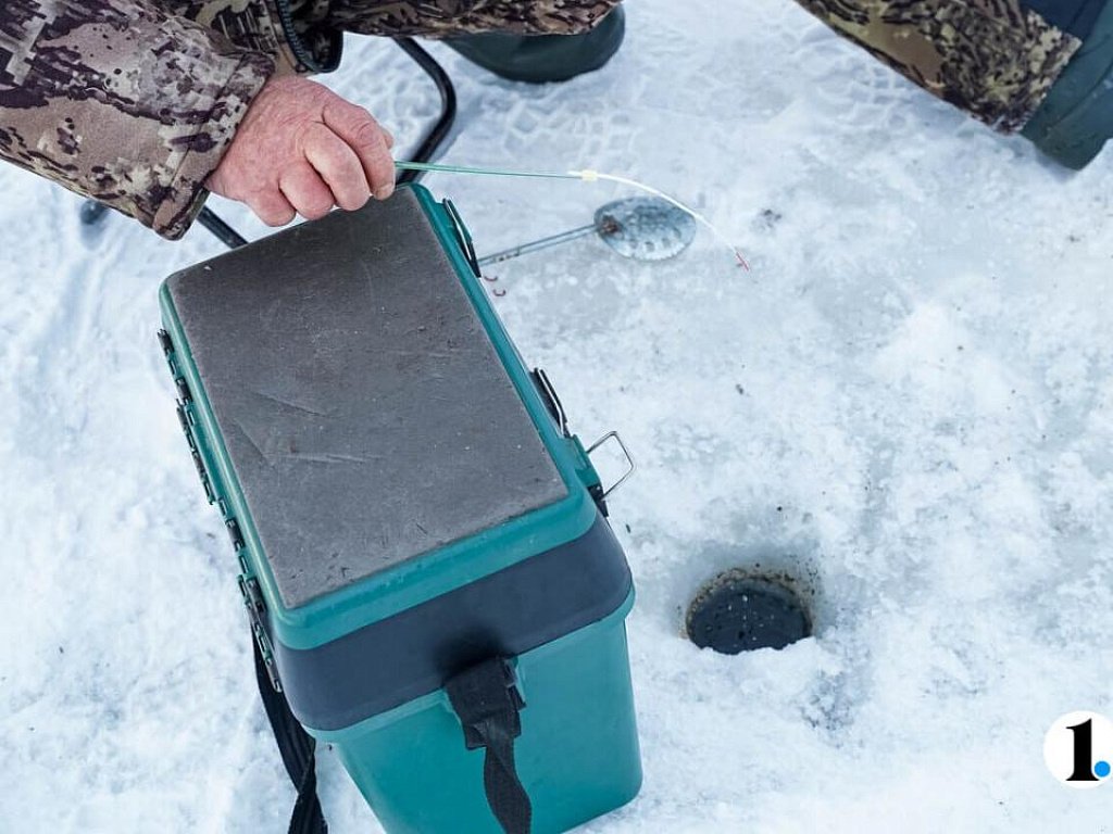 В одном из озер Челябинска рыба может погибнуть из‑за дефицита кислорода