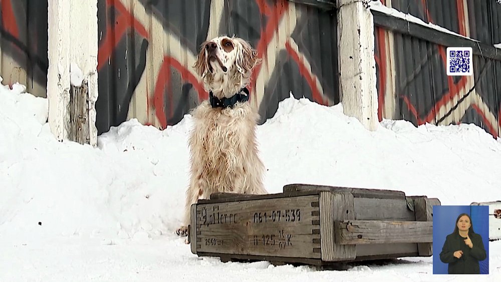 Шестнадцатого февраля отмечается День поиска запахов