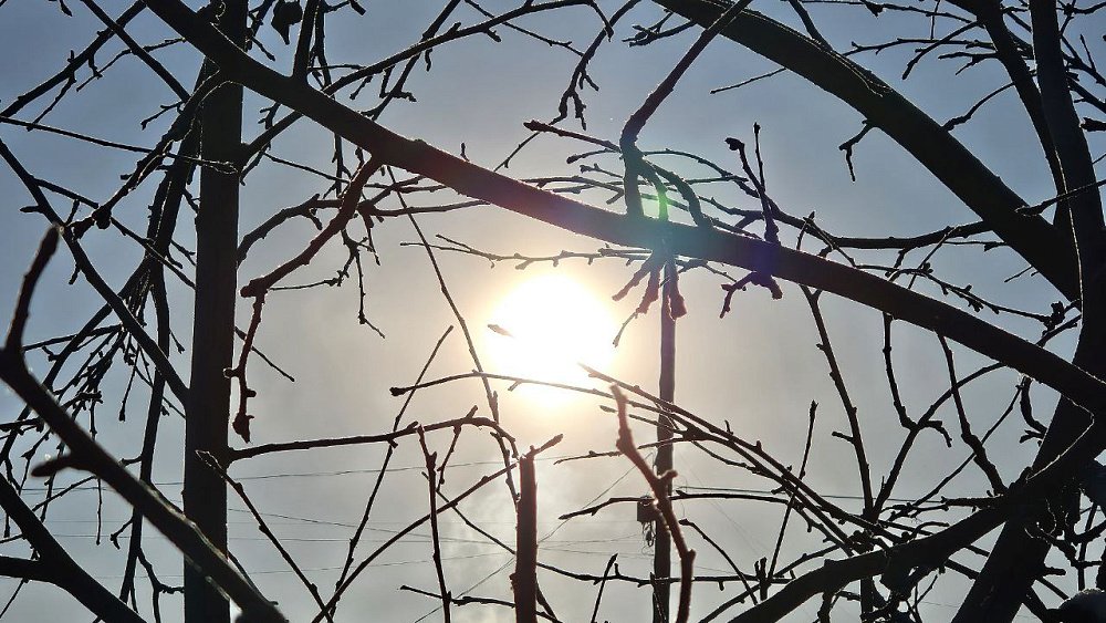 В Челябинской области солнечное излучение вызовет помехи радиосигнала и ТВ