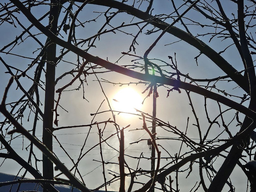 В Челябинской области солнечное излучение вызовет помехи радиосигнала и ТВ