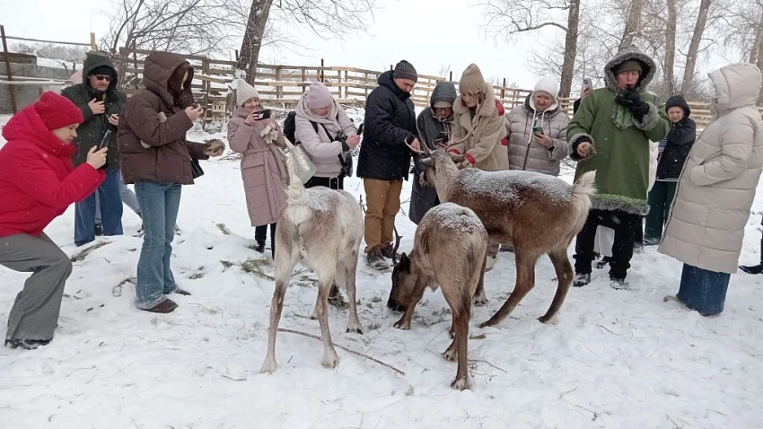 В Челябинской области с развитием агротуризма познакомили туроператоров