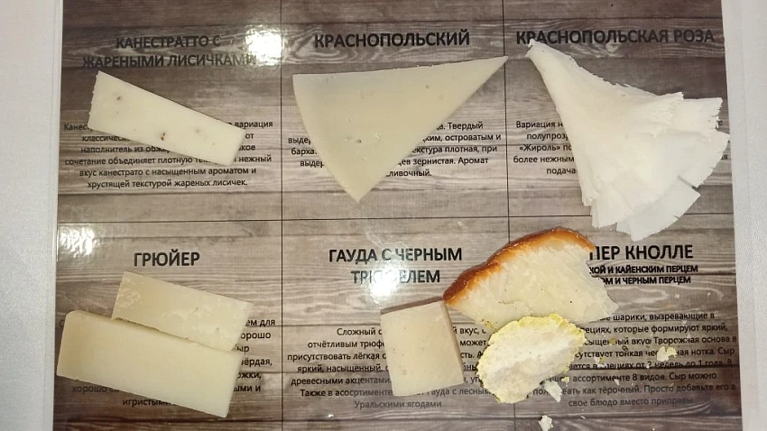 В Челябинской области с развитием агротуризма познакомили туроператоров