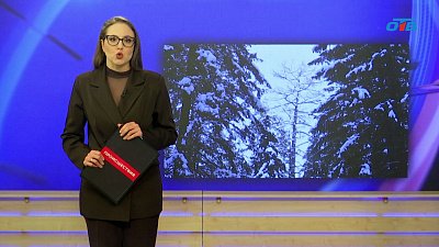 На Южном Урале мужчина едва не замерз насмерть в лесу