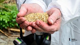 Из Челябинской области с начала 2026 года отгружено 40 тыс. тонн зерна