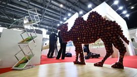 В Челябинск на МАК-2026 приедут сельхозпроизводители из 25 регионов РФ