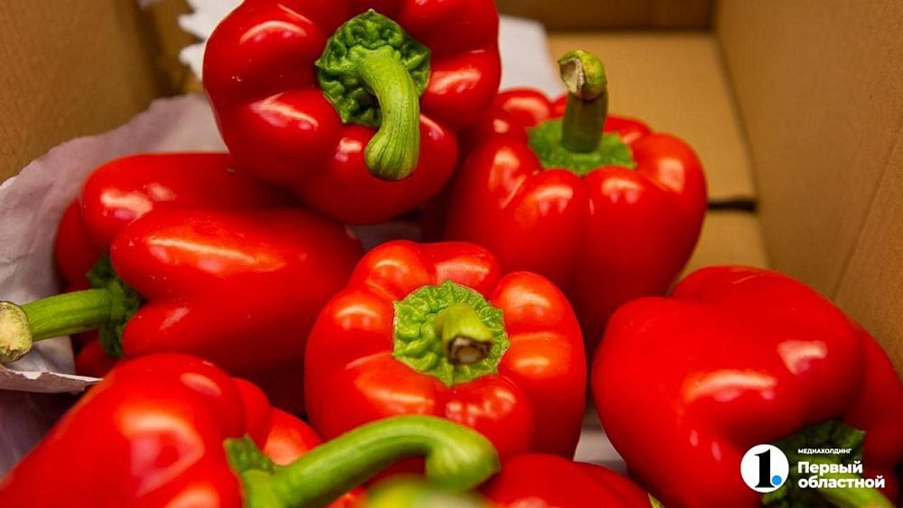 Садоводы назвали лучший день для посева перцев на рассаду в Челябинской области