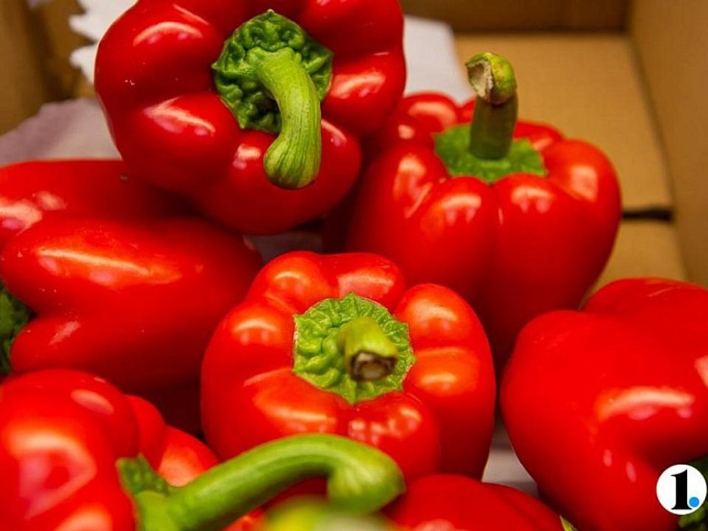 Садоводы назвали лучший день для посева перцев на рассаду в Челябинской области