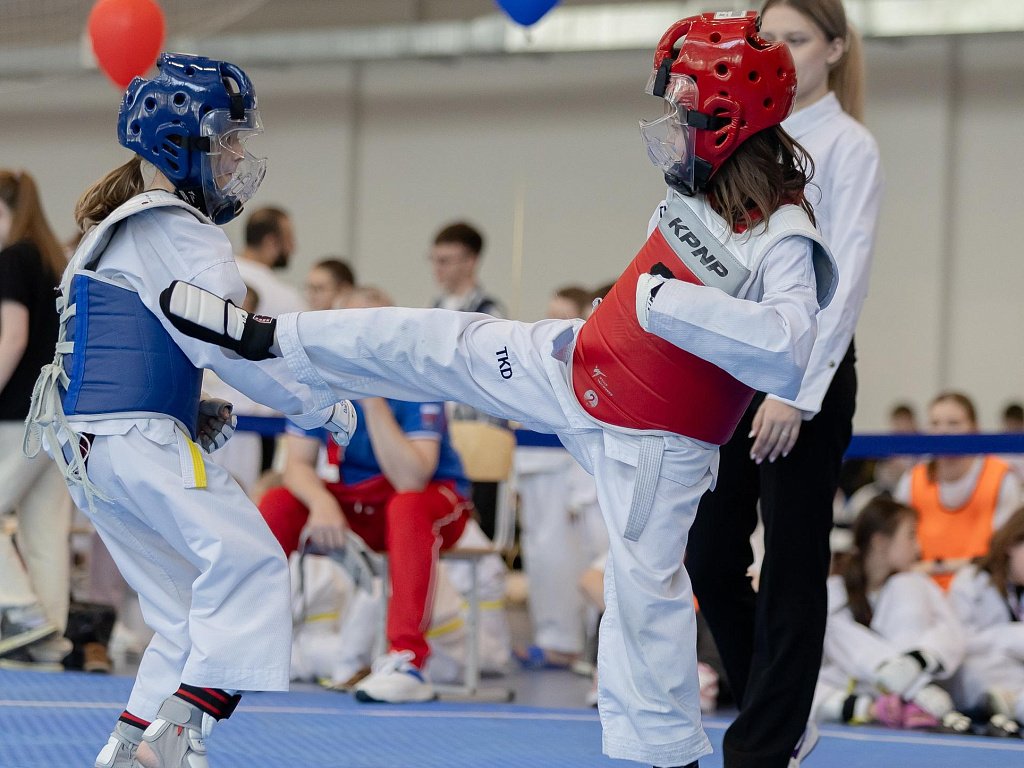 Более 1000 участников собрал Всероссийский фестиваль по тхэквондо в Челябинске