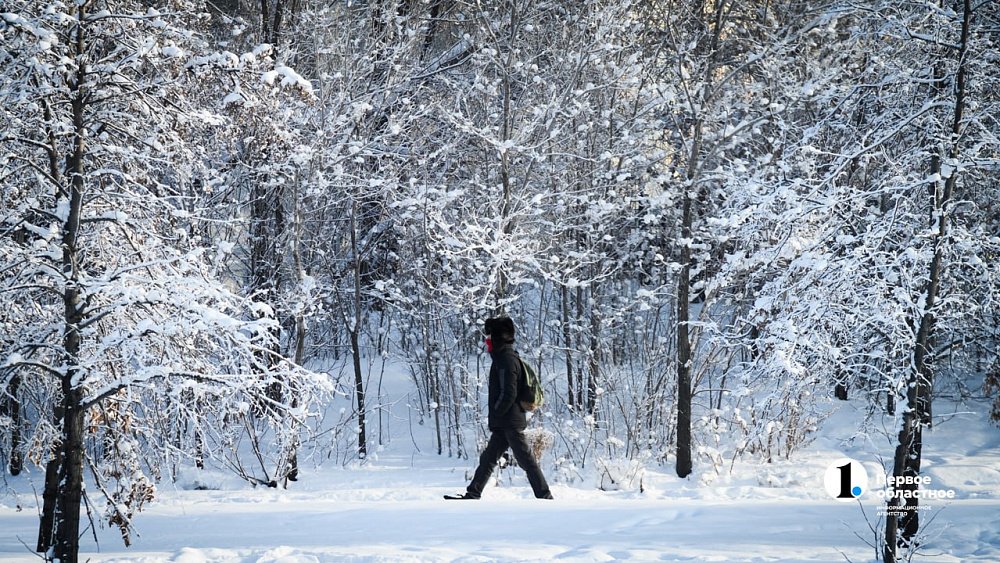 Мороз до −29 ударит в Челябинской области ночью 19 февраля