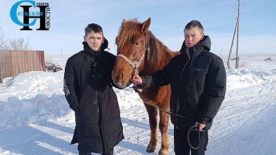 В Бредах запустили проект «Дети уральской закалки» о юных тружениках