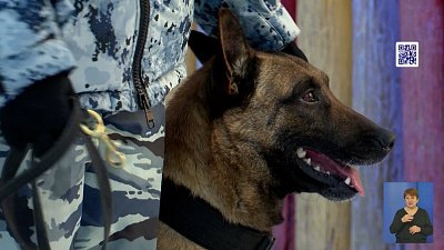 В Челябинске организовали экскурс в профессию кинолога и инспектора ГАИ