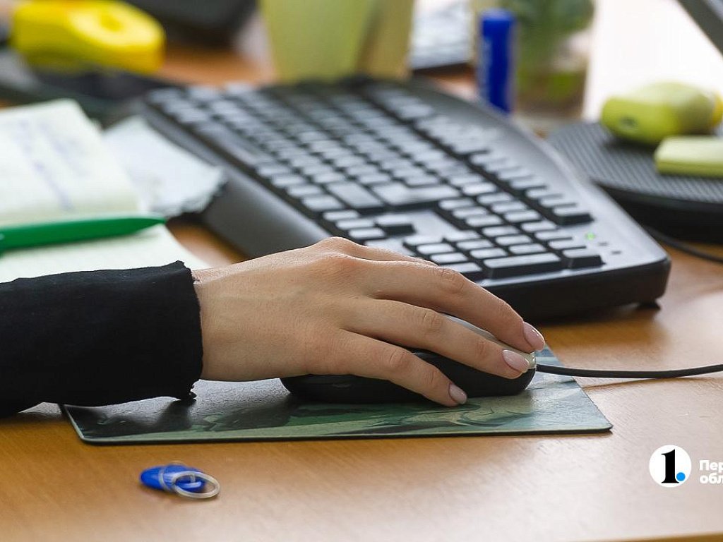 В Челябинской области вдвое выросло число женщин-соискательниц в сфере IT