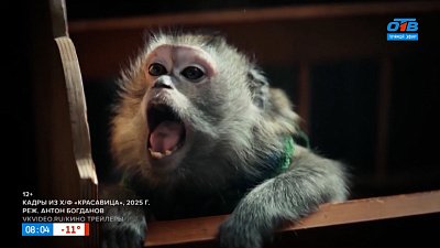 Расскажем, какой фильм стартует на больших экранах с Александром Овечкиным, в рубрике «Идем в кино»