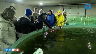 Колорит Кунашакского района в сюжете «Мой бизнес: Агротуризм по Челябинской области»