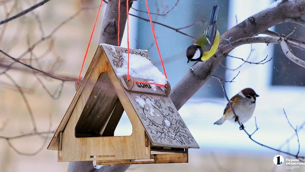 Вслед за грачами в Челябинскую область прилетят серые гуси