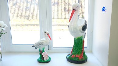 Телефакт от 19.02.2026