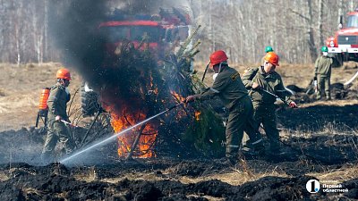 Более 1,3 млн рублей взыскали с трех поджигателей лесов в Челябинской области