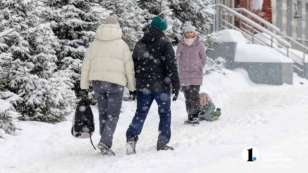 В Челябинской области 22 февраля пройдет снег и похолодает до −23