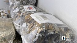 Реглан для штурма и пончо-невидимка: как челябинки обманывают тепловизоры и шьют победу