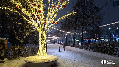 Мороз до −27 сохранится на юге Челябинской области 25 февраля