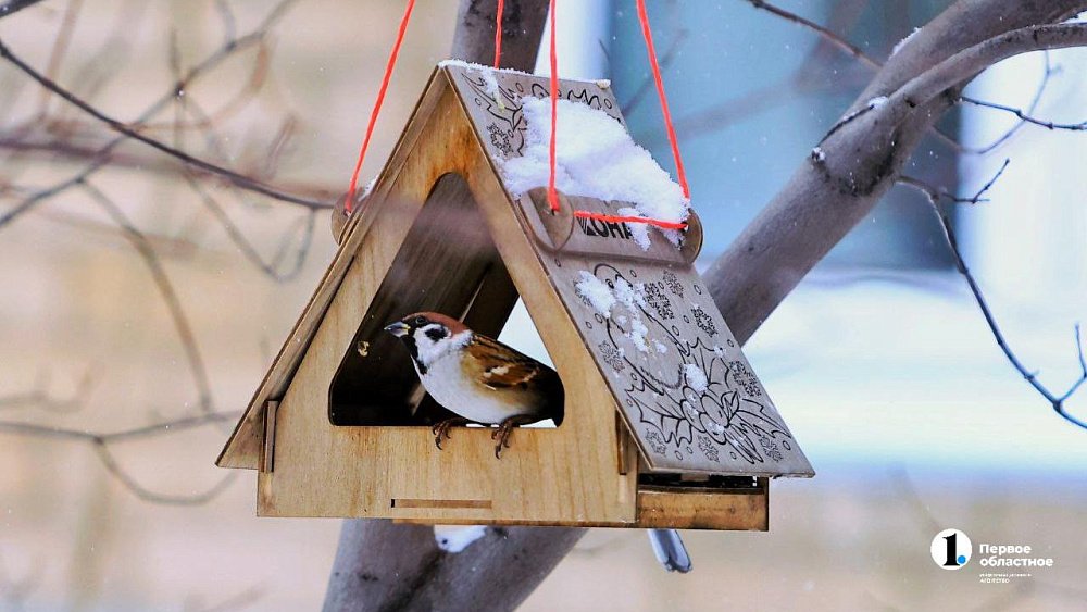 Морозный и теплый воздух продолжат борьбу на Южном Урале 26 февраля