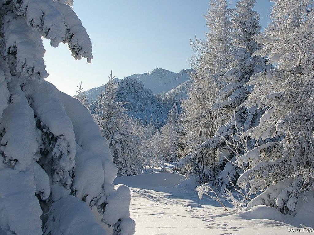 На Зюраткуле медведь проснулся и вышел к туристам