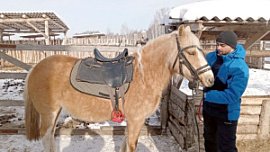 Вблизи Челябинска фермеры развивают агротуризм на собственном подворье