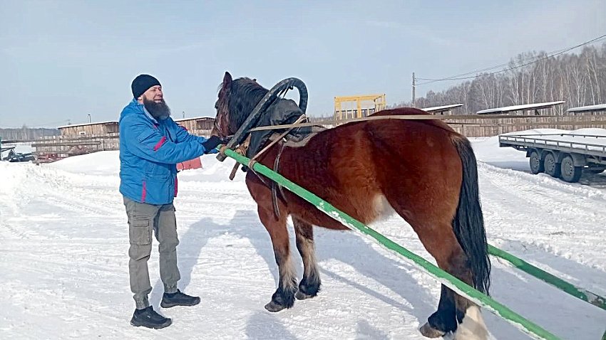 Вблизи Челябинска фермеры развивают агротуризм на собственном подворье