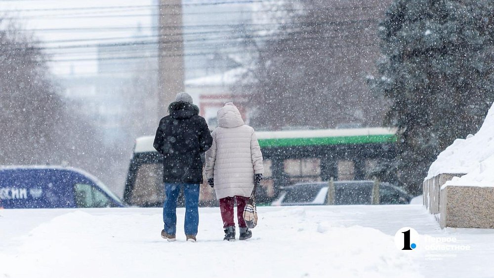 В Челябинской области 27 февраля сохранится мороз и пройдет снег
