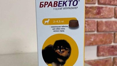 Челябинскую ветаптеку оштрафовали за продажу контрафактных таблеток для собак