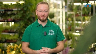 Как правильно выбрать фитолампу для растений