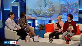 Где найти себе пушистого друга? — Гость в студии